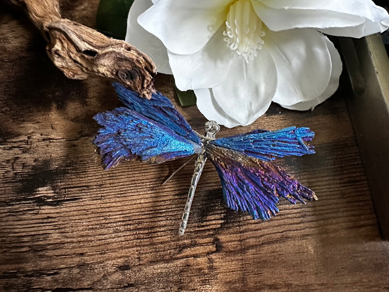 Iridescent Titanium Aura Black Kyanite Dragonfly FB3312