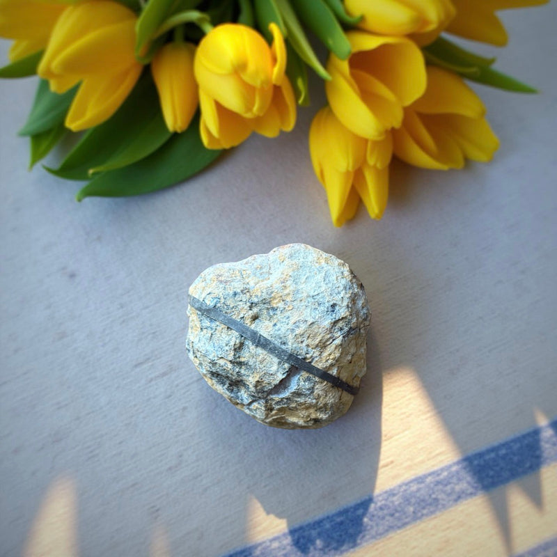 Desert Sands Geode from Morocco FB2102 🌸