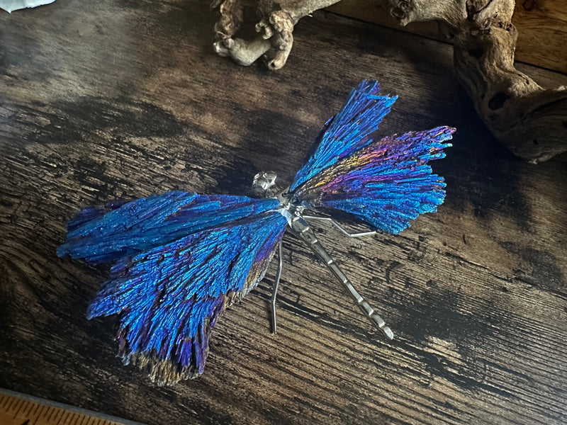 Iridescent Titanium Aura Black Kyanite Dragonfly FB3312