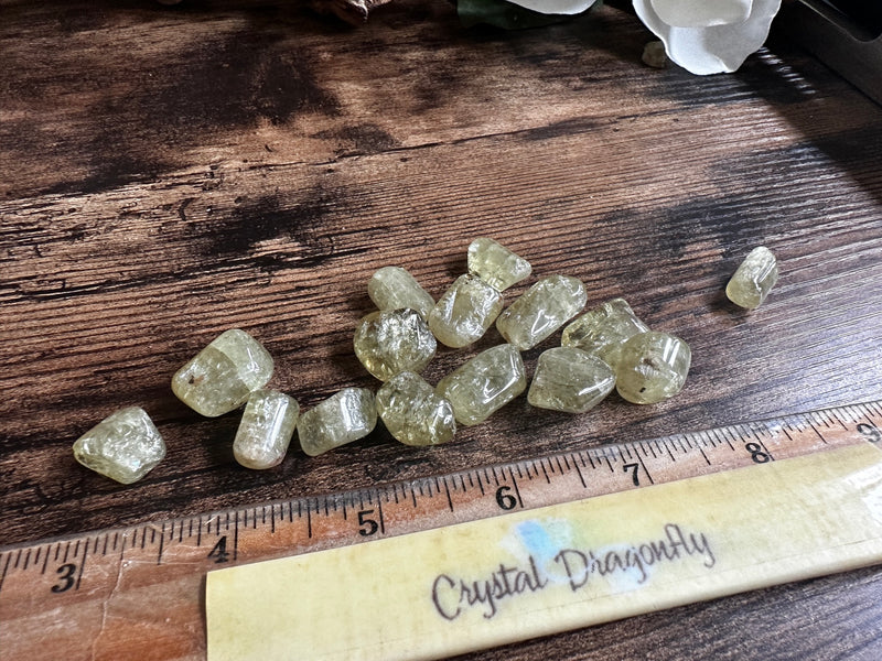 Tumbled Yellow Apatite joy and happiness, Set of 2, FB1177