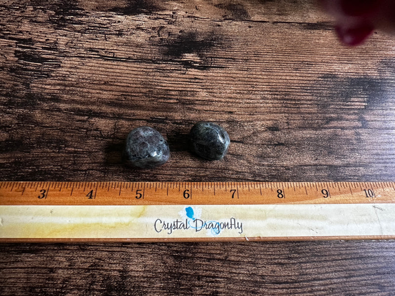 Tumbled Eclogite from Greenland FB1857