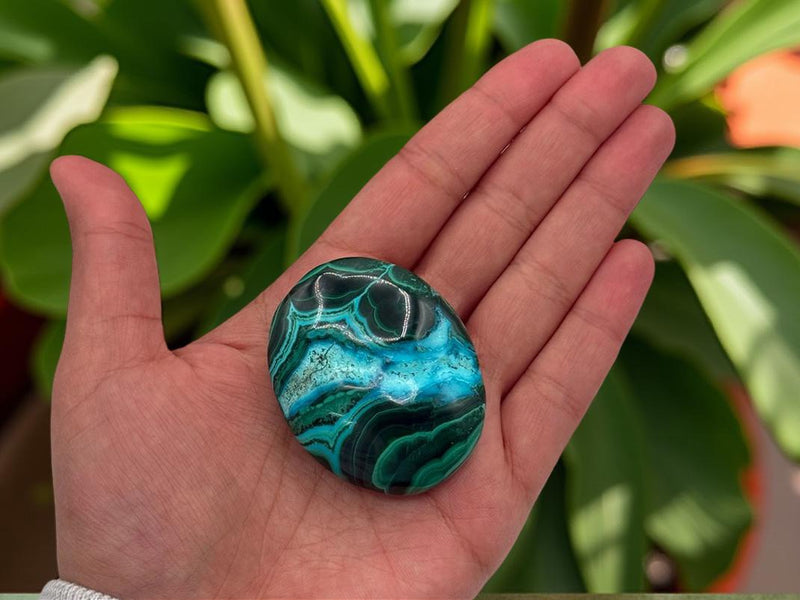 Chrysocolla Malachite Palm Stone FB3031 🪷