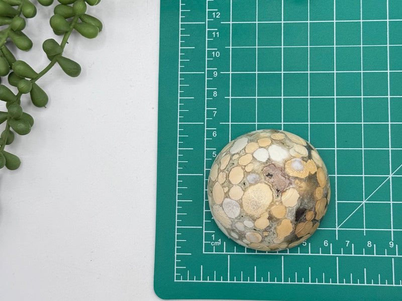 King Cobra Jasper Gemstone Bowl FB2716 ♥️