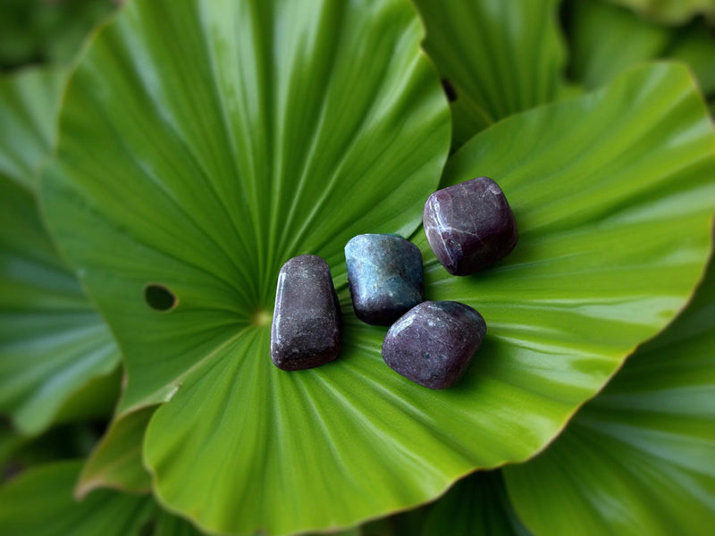 Tumbled Ruby in Kyanite for manifestation, leadership and bliss 🌸