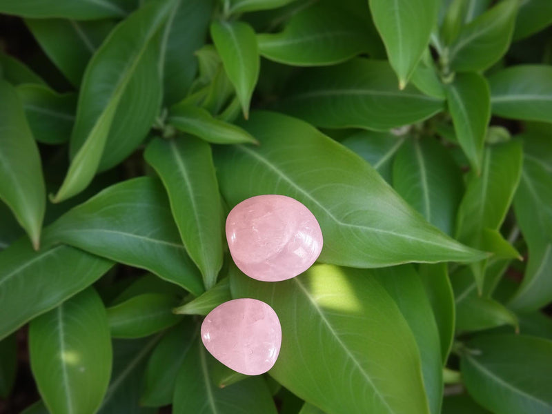 Tumbled Rose Quartz - Comforting, Loving, Calming, Forgiveness, & Stress Reducer ✨