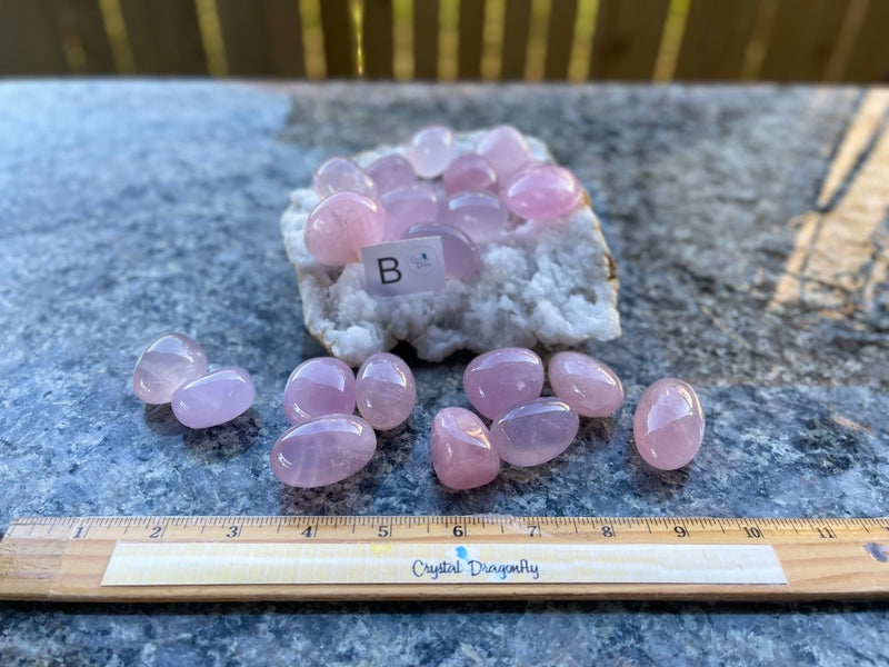 Tumbled Rose Quartz - Polished Oval Shape - Comforting, Calming, Forgiveness, & Stress Reducer FB3386