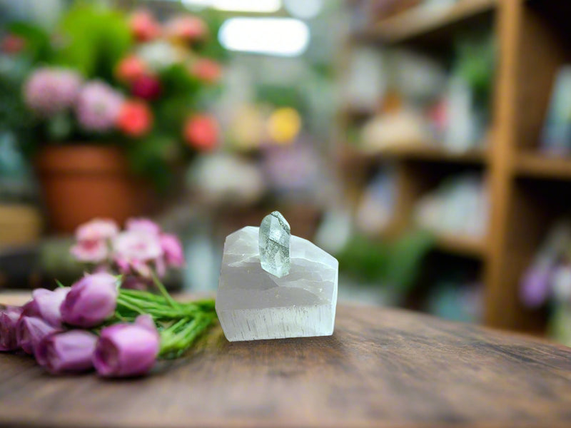 Clear Quartz Polished Chlorite Included Point FB2280 🌍