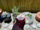 Selenite Etched Round Charging Plates / Bases for crystal grids and display FB1488