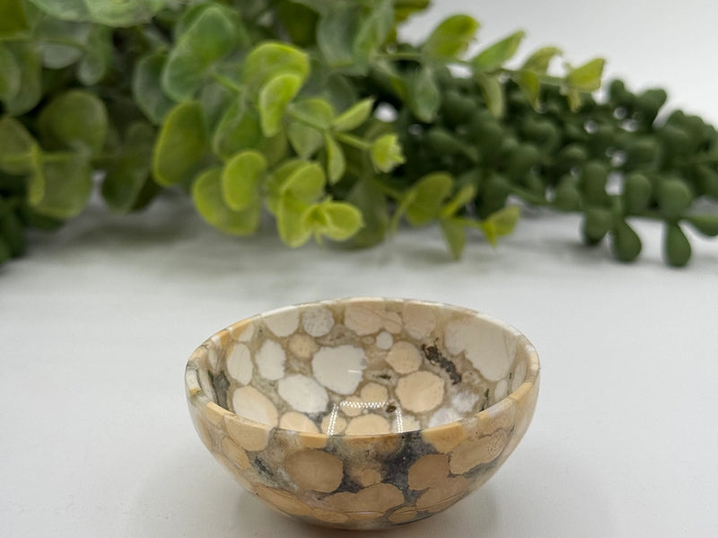 King Cobra Jasper Gemstone Bowl FB2716 ♥️