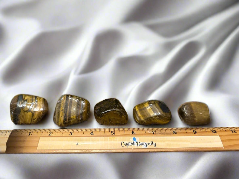 Tumbled Gold Tiger Eye, Jumbo - Prosperity, Calm & Psychic Abilities FB2911  💛🌼💛