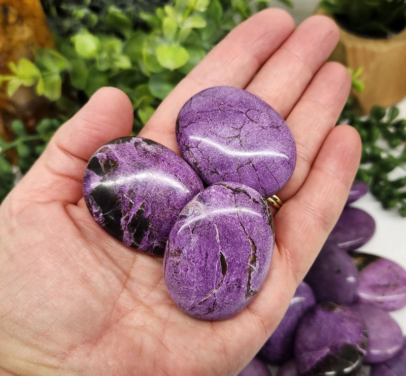Stichtite Palm Stone, calm safety strength talisman FB3078 💜