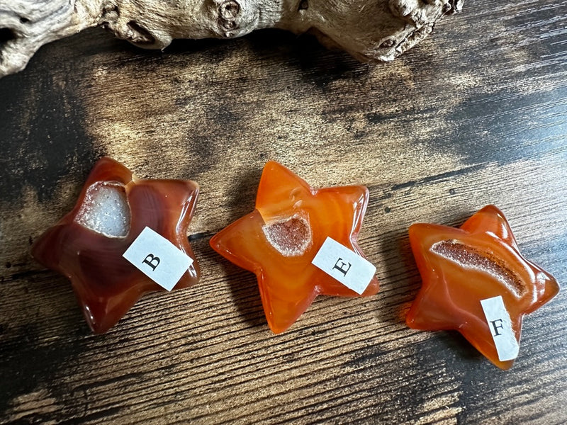 Carnelian Drusy Carved Star for vitality FB3196