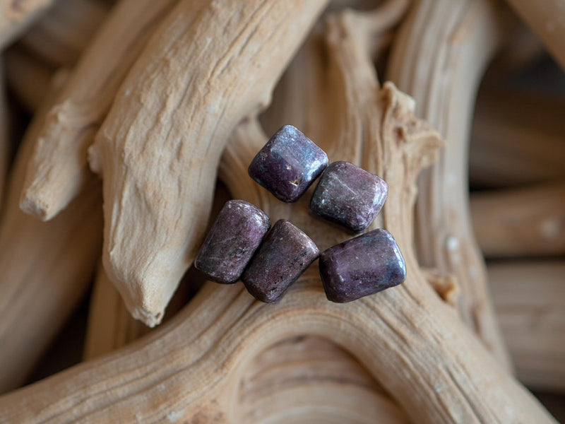 Tumbled Ruby in Kyanite for manifestation, leadership and bliss 🌸