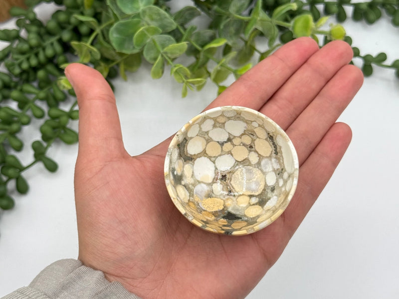King Cobra Jasper Gemstone Bowl FB2716 ♥️