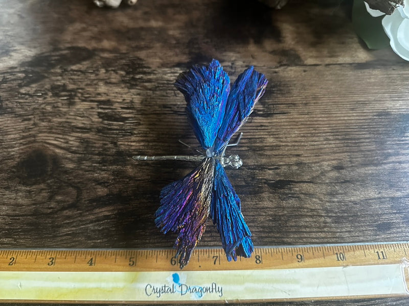 Iridescent Titanium Aura Black Kyanite Dragonfly FB3312