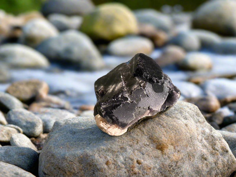 Black Rose Fluorite Rough, Fluorescent FB2997 💎