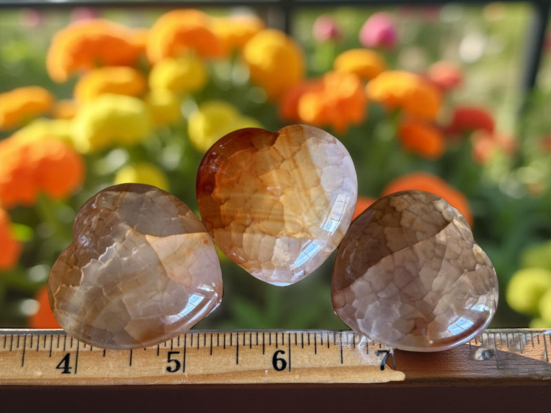Fire Agate Medium Hearts, shielding, grounding, emotional balance FB1903 🧡