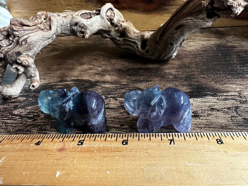 Elephant Totem/Spirit Animal Carving, Fluorite FB2060 🐘