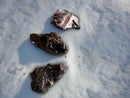 Raw Colombian Shungite FB1072