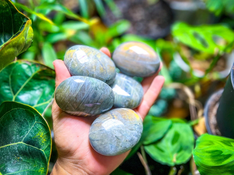 Sunset Labradorite Palm Stone (Gallet) FB2734 ✨