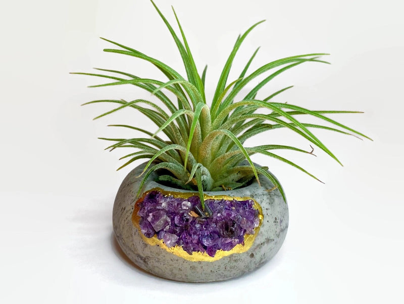 Crystal Air Plant, Small Plant or treasure Holder - Geode Planter Pot FB3190