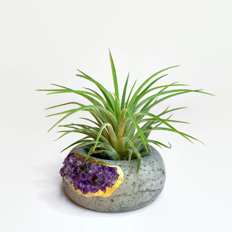 Crystal Air Plant, Small Plant or treasure Holder - Geode Planter Pot FB3190