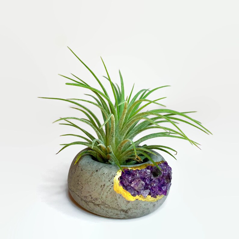 Crystal Air Plant, Small Plant or treasure Holder - Geode Planter Pot FB3190