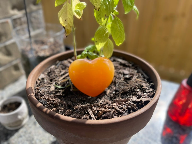 Orange Calcite Heart for joy and balancing the emotions FB1393