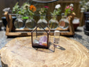 Crystal Energy Terrariums, Complete Collections with Intention FB1201