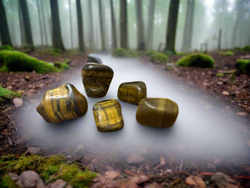 Tumbled Gold Tiger Eye, Jumbo - Prosperity, Calm & Psychic Abilities FB2911  💛🌼💛