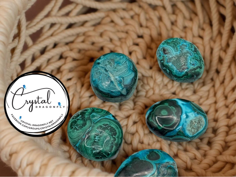 Chrysocolla Malachite Palm Stone FB3031 🪷