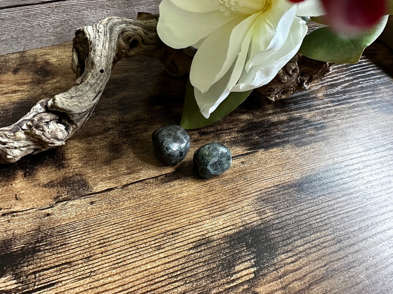 Tumbled Eclogite from Greenland FB1857