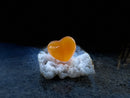 Orange Calcite Heart for joy and balancing the emotions FB1393