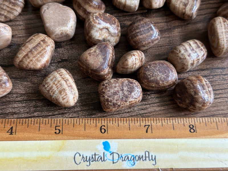 Tumbled Brown Aragonite for patience and healing