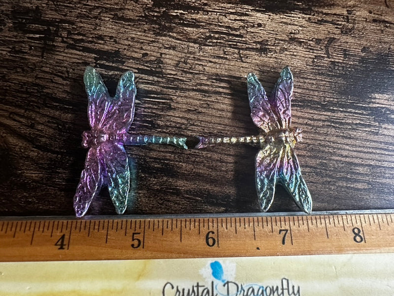 Iridescent Bismuth Dragonfly FB1145