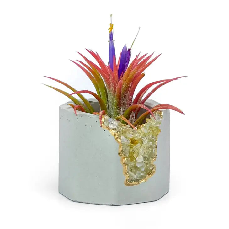 Crystal Air Plant, Small Plant or treasure Holder - Geode Planter Pot FB3190