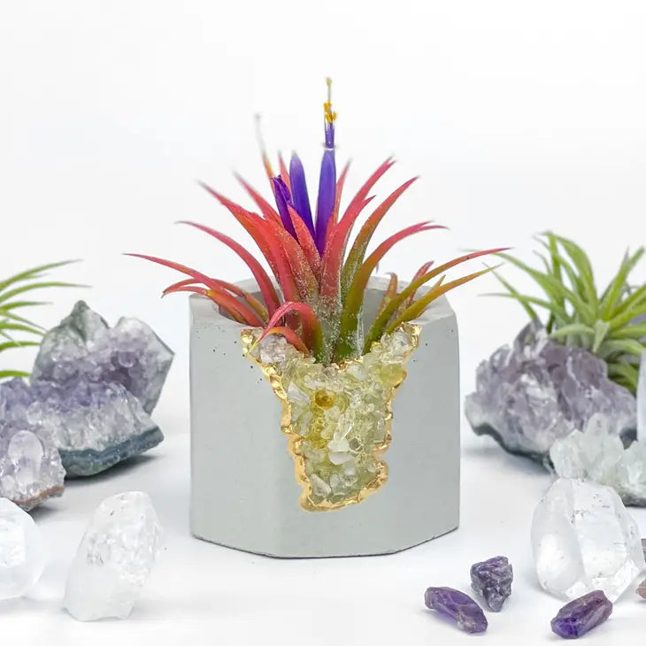 Crystal Air Plant, Small Plant or treasure Holder - Geode Planter Pot FB3190