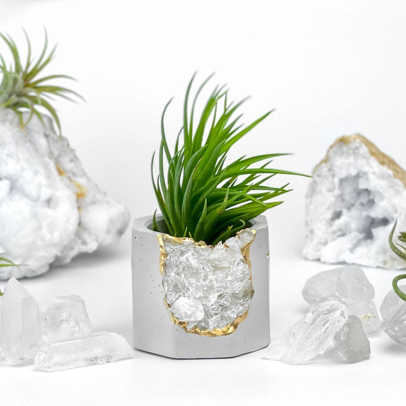 Crystal Air Plant, Small Plant or treasure Holder - Geode Planter Pot FB3190