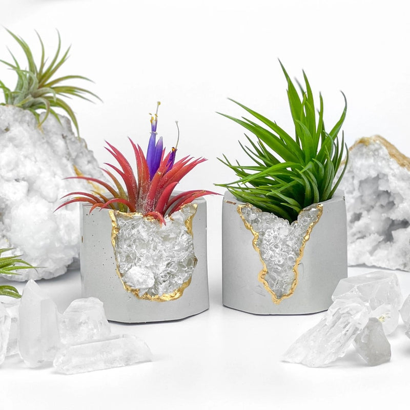 Crystal Air Plant, Small Plant or treasure Holder - Geode Planter Pot FB3190