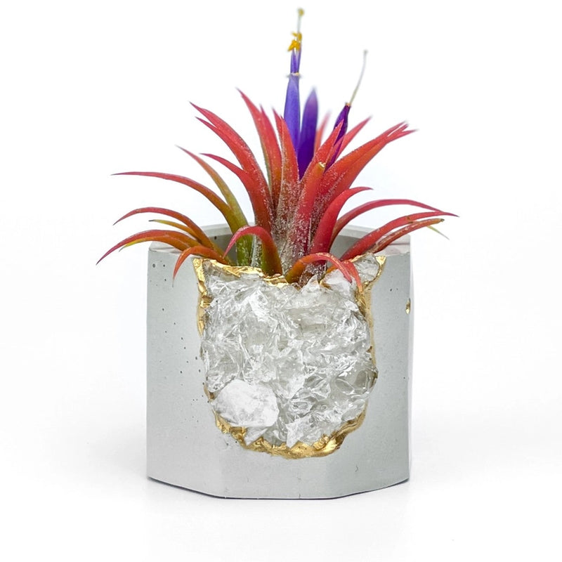 Crystal Air Plant, Small Plant or treasure Holder - Geode Planter Pot FB3190