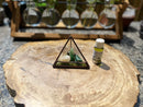Crystal Energy Terrariums, Complete Collections with Intention FB1201