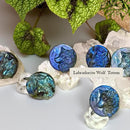 Labradorite Wolf Animal Totem / Spirit Disc Carving FB3318 ๐บ