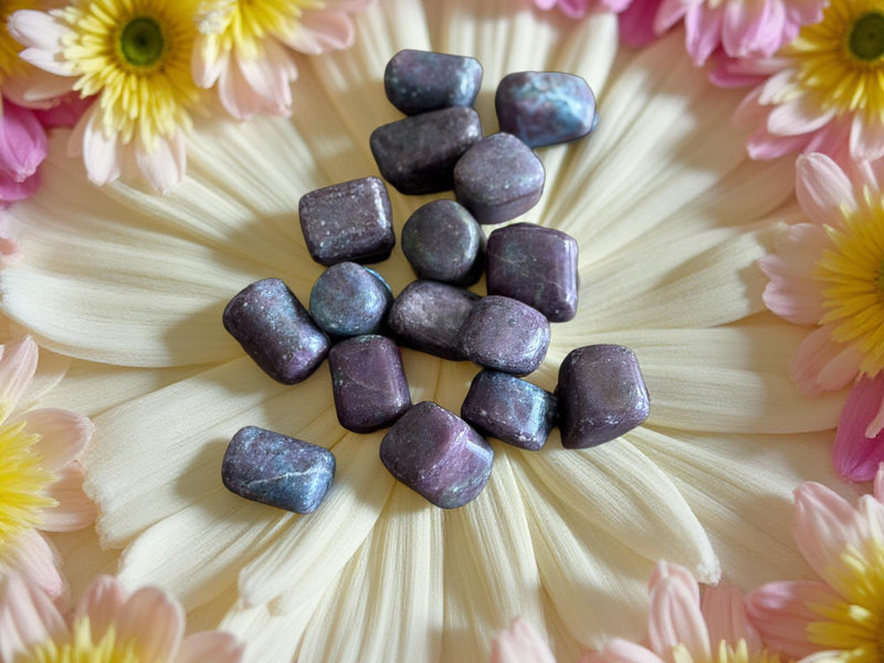 Tumbled Ruby in Kyanite for manifestation, leadership and bliss 🌸