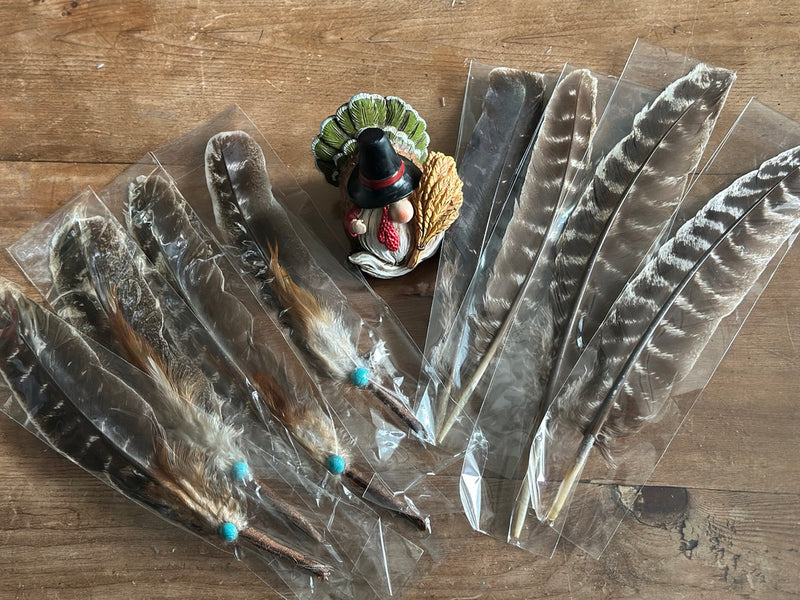 Turkey Feather for Smudging FB2591 🪽