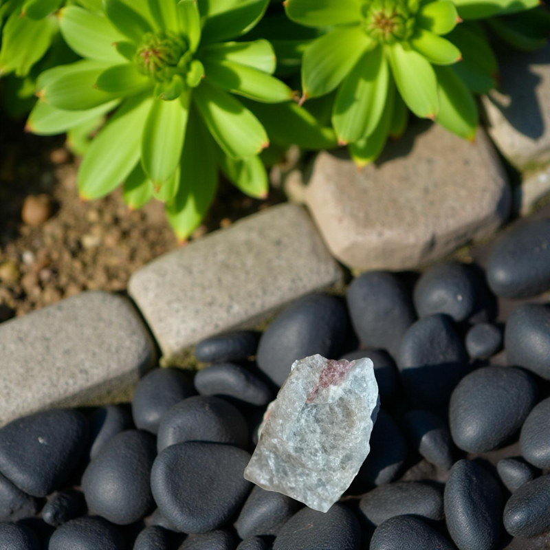 Pink Tourmaline with Aquamarine Rough, beautiful Pinks and gemmy Blues FB1184 🌸