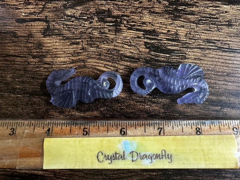 Purple Fluorite Seahorse Carving FB3163