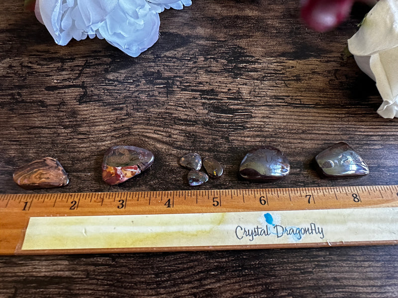 Koroit Boulder Opal Polished Small Free Form Pieces FB1252