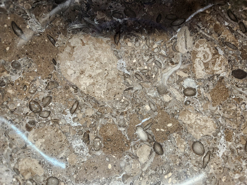 Fossil Marble Large Gemstone Bowl FB2716 🐚