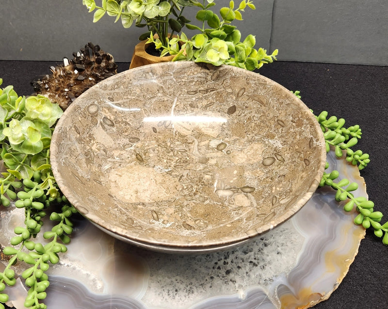 Fossil Marble Large Gemstone Bowl FB2716 🐚