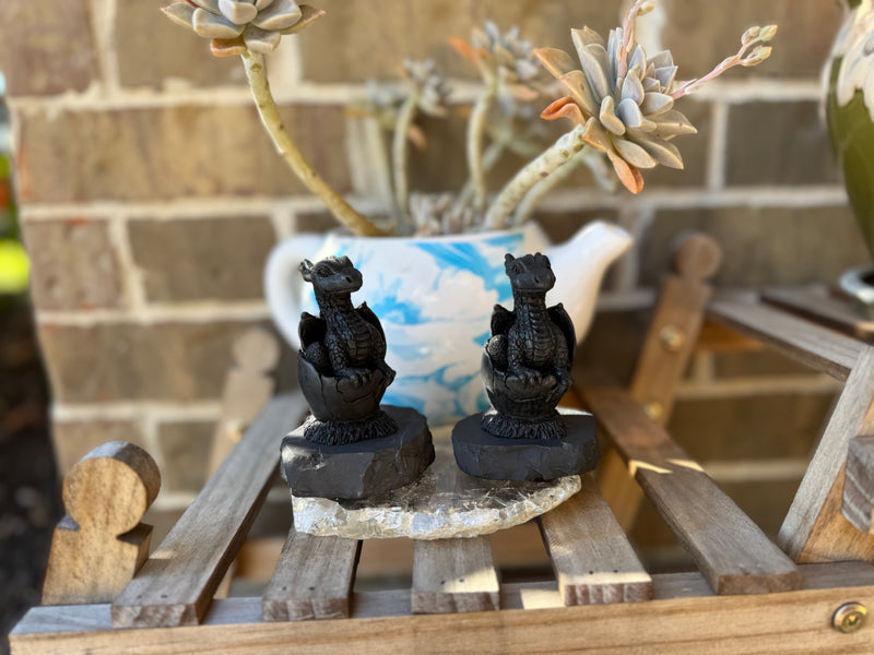Shungite Dragon in Egg on Base, Detailed Carving, grounding & protection stone FB3448 🐉